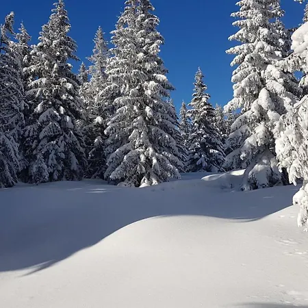 Bruno So Saunou * Demanovska Dolina