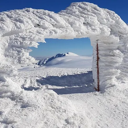 Bruno So Saunou Apartment Demanovska Dolina